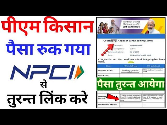 PM kisan N P C I link|| Pm kisan npci लिंक कैसे करे  13th instalment ke liye