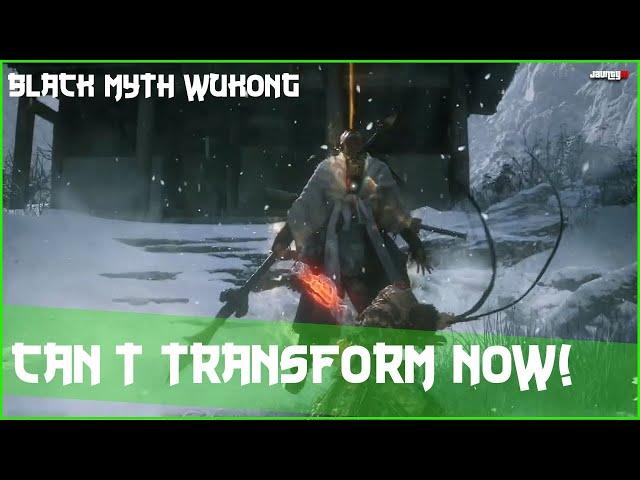 Transformations Don't Work Against Erlang Anymore in New Challenge Mode DLC - Black Myth Wukong