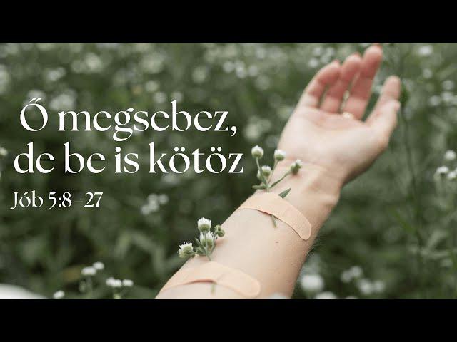 2024. 09. 15. (du.) | Ő megsebez, de be is kötöz - Jób 5:8-27 | Vékás Benjámin