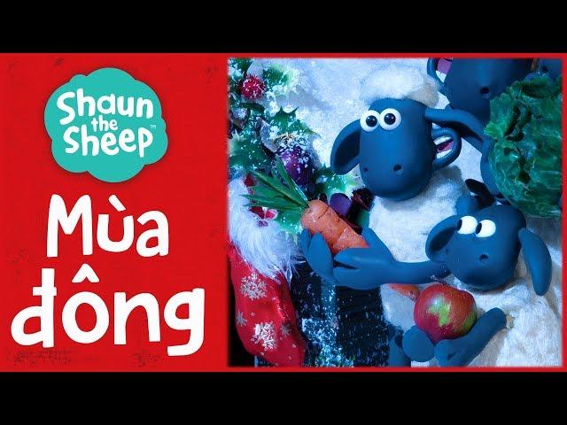 Tổng hợp tập phim mùa đông | Mùa 2 | Những Chú Cừu Thông Minh