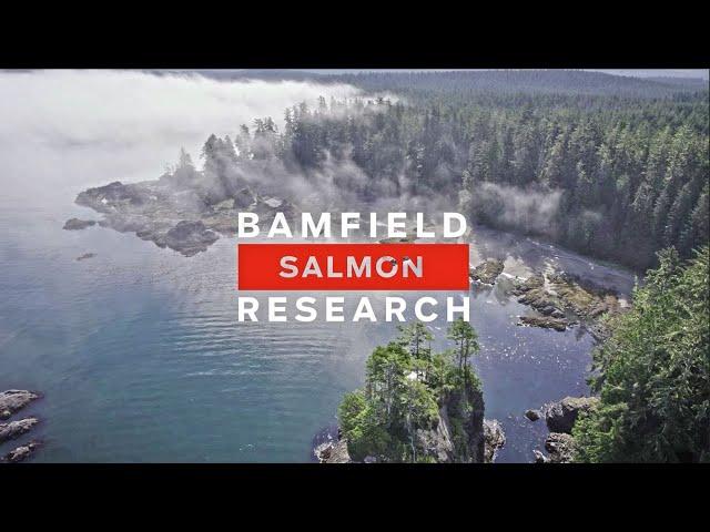Studying Catch and Release Survival with UBC Researchers ~ BEST Catch and Release Practices