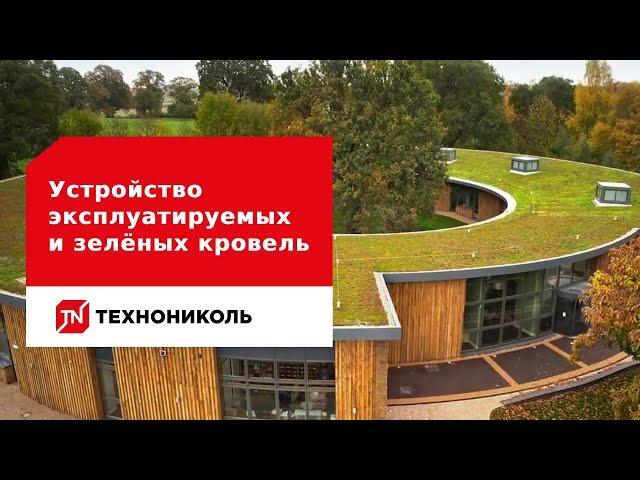 Устройство эксплуатируемых и зелёных кровель