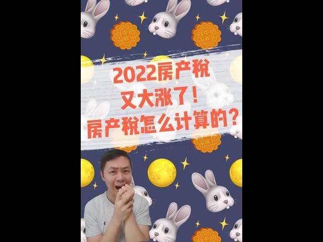 收到2022法国房产税，涨了好多！法国房产税怎么算的？