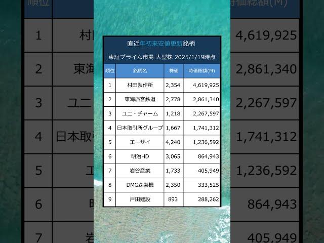 【上昇期待】東証プライム市場 大型株 直近年初来安値更新銘柄 #ビジネス #株式投資 #就活 #転職 #日本株