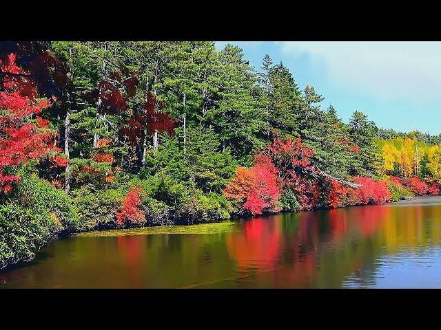 Красивая Атмосферная Инструментальная Музыка для души! Красивое видео/Beautiful instrumental music