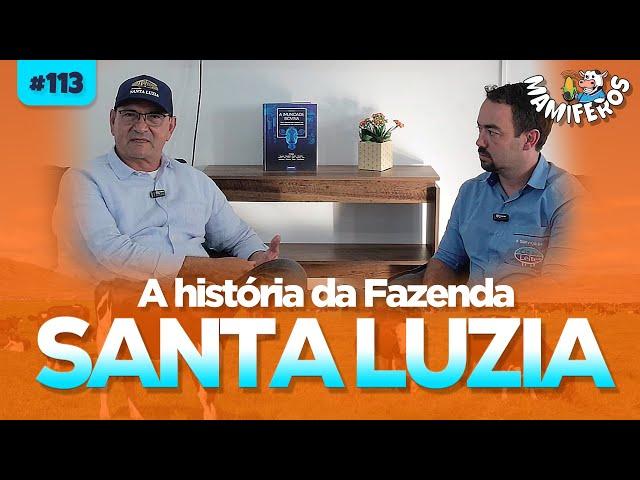 A história da Fazenda Santa Luzia