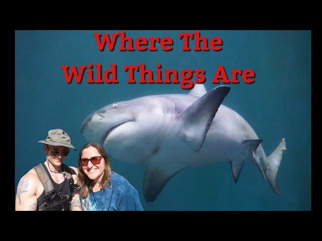 Guadalajara Zoo Aquarium Tour | Moving To Mexico