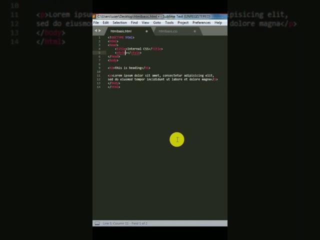 Internal style sheet CSS #shorts #youtubeshorts #learnwebcode #htmlcode #html
