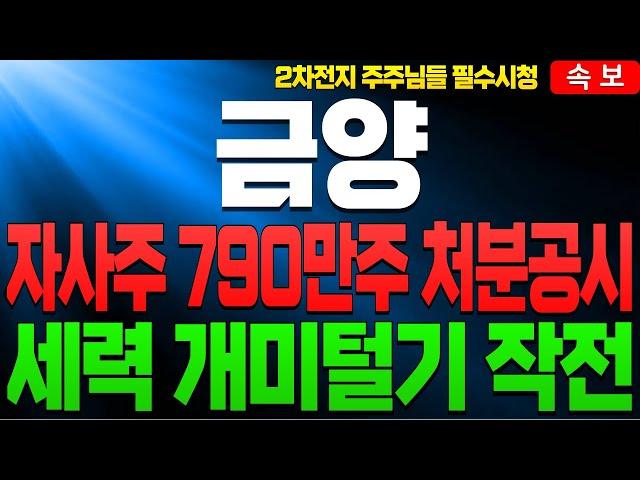 [2차전지] [금양 금양주가 금양주가전망]🟡지금 우리 국내시장 상황과 앞으로 금양 주가의 방향성은?