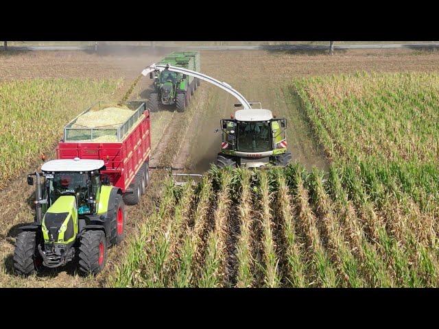 CLAAS JAGUAR 940 bei der Maisernte 2022 / Abfahrer FENDT 820, 724 & CLAAS AXION 830 / 4K