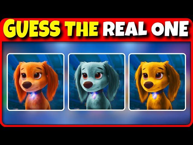 PAW Patrol: The Mighty Movie Quiz - Guess the real one