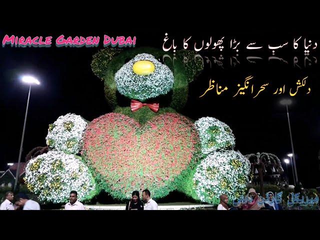 Miracle Garden Dubai | Miracle Garden Tour | Connect with Zafar