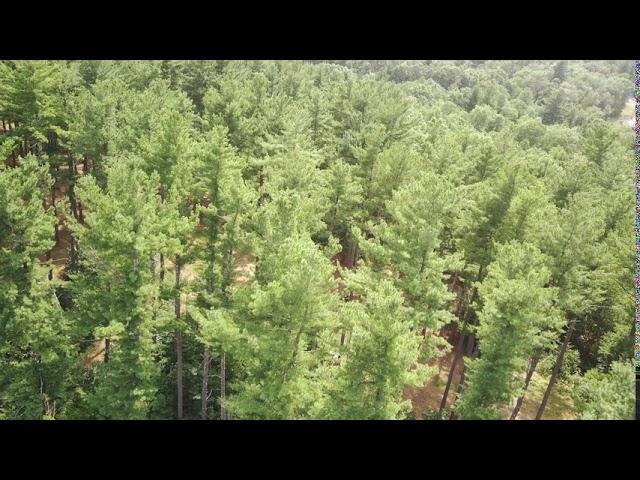 FIMI0001  First takeoff of FIMI X8-SE 2020 -- gimbal problem first seen