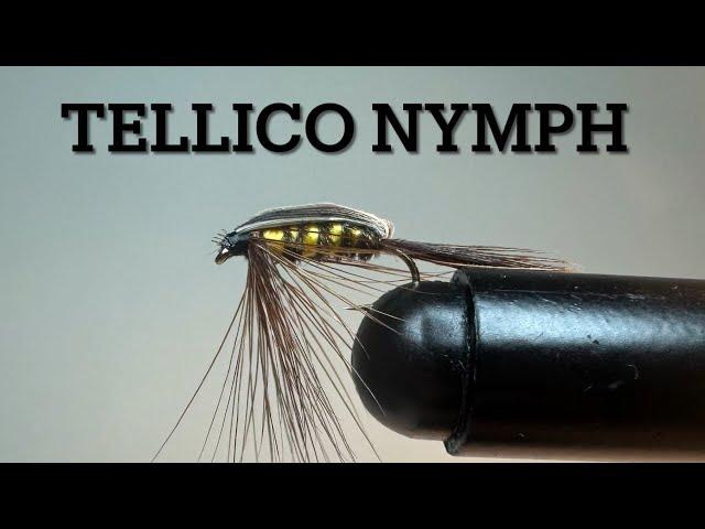 Tellico Nymph #flytying #flytyingaddicts #flytyingjunkie #fly #flyfishing