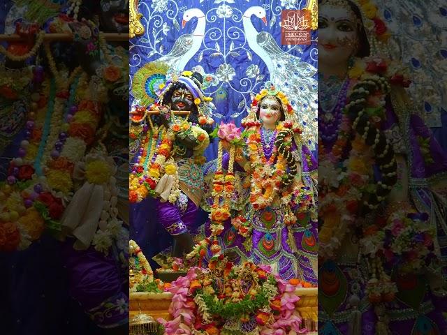 Today's Radha Shyamsundar, Krishna Balaram, Gaur Nitai Darshan || 14.06.25 ||