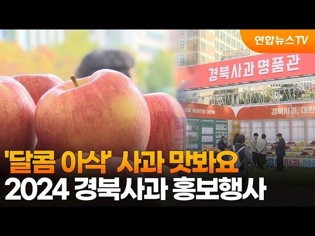 '달콤 아삭' 사과 맛봐요…2024 경북사과 홍보행사 / 연합뉴스TV (YonhapnewsTV)