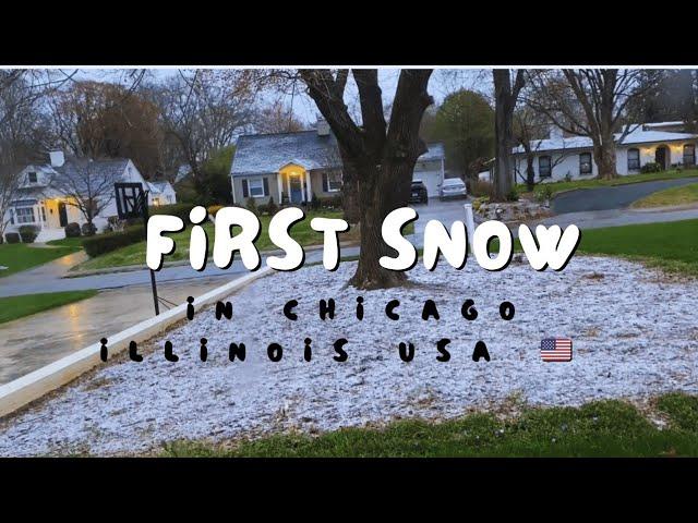 First Snowfall in Illinois Chicago  21th Nov 2024 || Beautiful views chilling weather #4k #2024