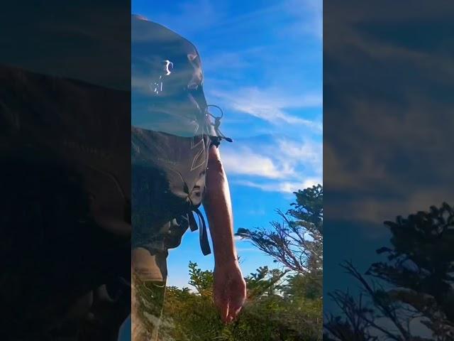 Epic view time