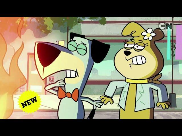 Cartoon Network UK HD Jellystone! New Episodes October 2024 Promo