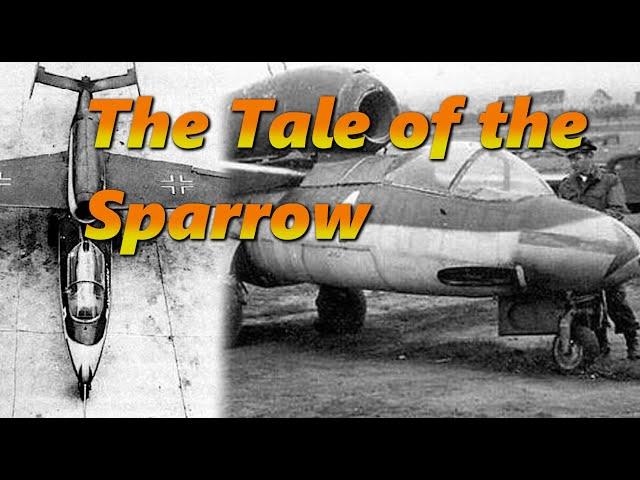 The Most Overhated Plane of World War II | Heinkel He 162 Volksjäger | History in the Dark