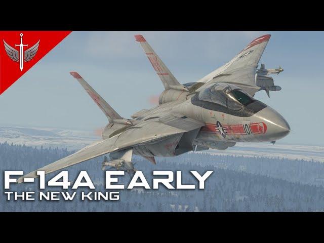 The New King - F-14A Early Danger Zone