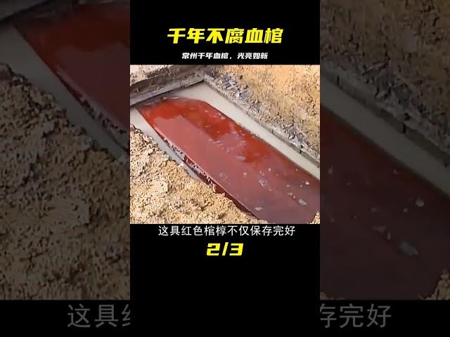 江蘇常州驚現千年不腐血棺，棺槨光亮如新，宛如剛下葬 #法拉歷史 #法拉 #歷史 #古墓 #神仙