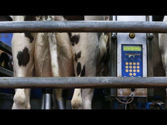 My Farming Week: Tom and Simon Browne, Killeagh, Co. Cork