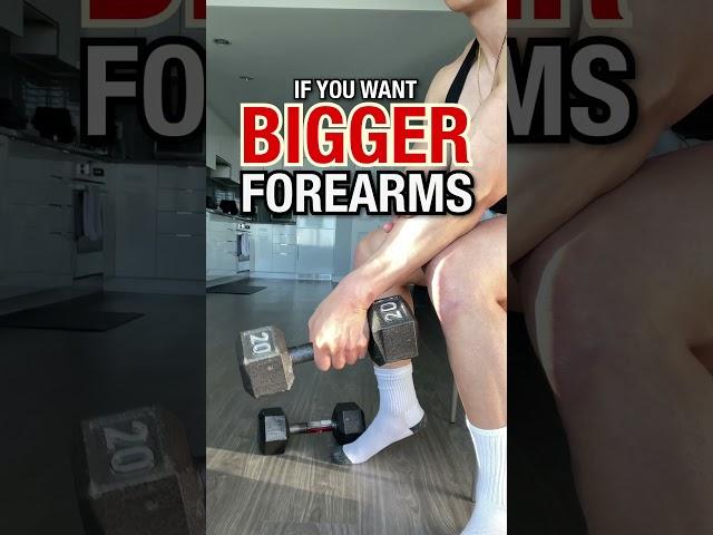 Do THESE to Build BIGGER Forearms!