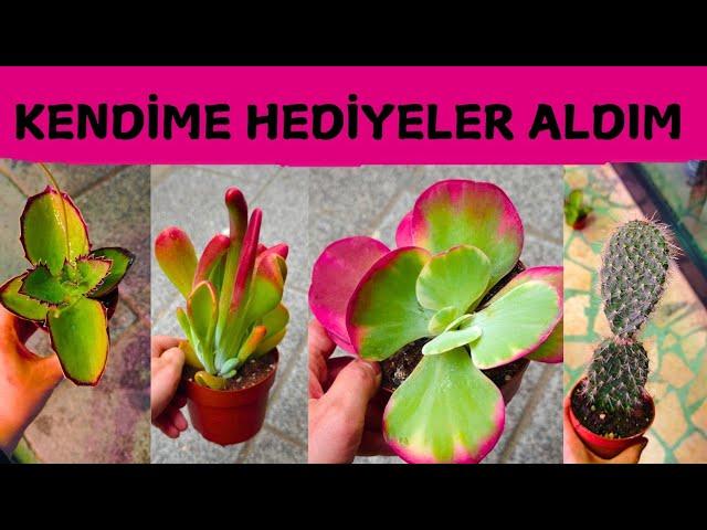 KENDİME HEDİYELER ALDIM || BAHÇEME YENİ RENKLER GELDİ