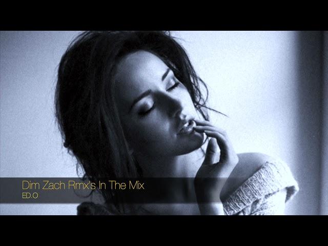 Dim Zach Rmx's In The Mix 3 ( ED.O )