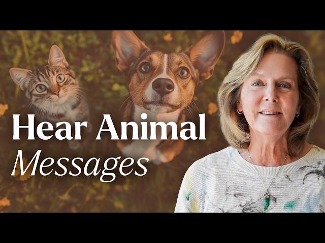 The #1 Animal Communication Tool YOU NEED! | Tami Hendrix