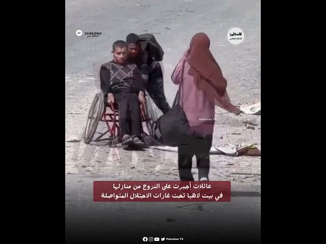 عائلات أجبرت على النزوح من منازلها في بيت لاهيا تحت الغارات المتواصلة التي يشنها جيش الاحتلال #غزة