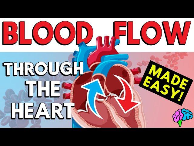 Blood Flow Through the Heart (Made Easy in 5 Minutes!)