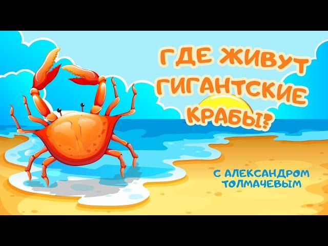 "Где живут гигантские крабы?" Познавательная программа с Александром Толмачевым  @Моя Планета ​