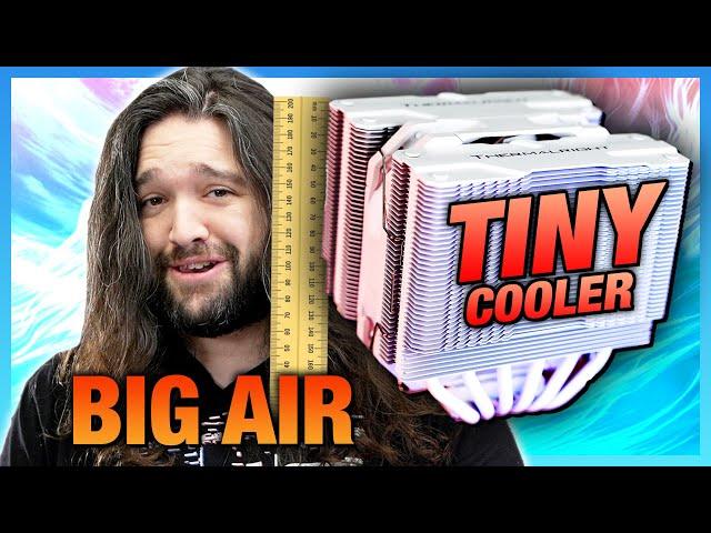 TINY Beast: Thermalright Peerless Assassin Mini Cooler Review & Benchmarks