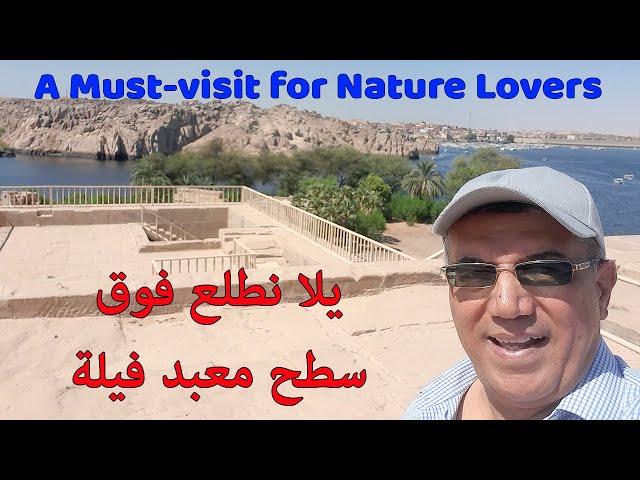 اول مرة.. يلا نطلع على سطح معبد فيلة | سر حجرة تحنيط اوزيريس | A Must-visit for Nature Lovers