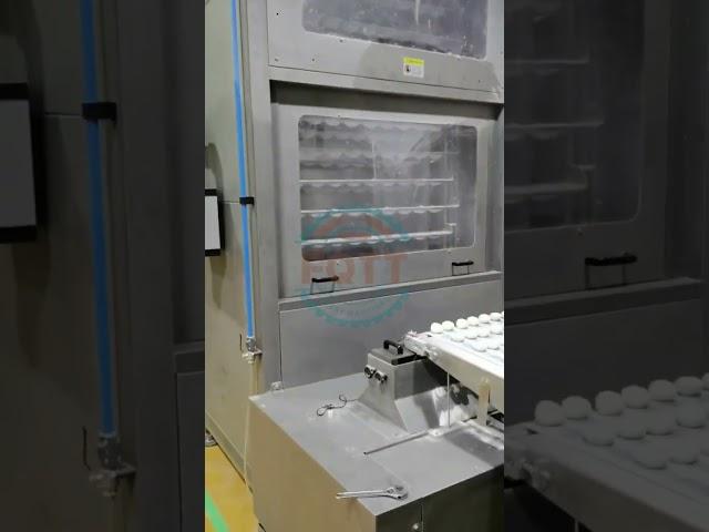 The FQTT fully automatic corn tortilla production line