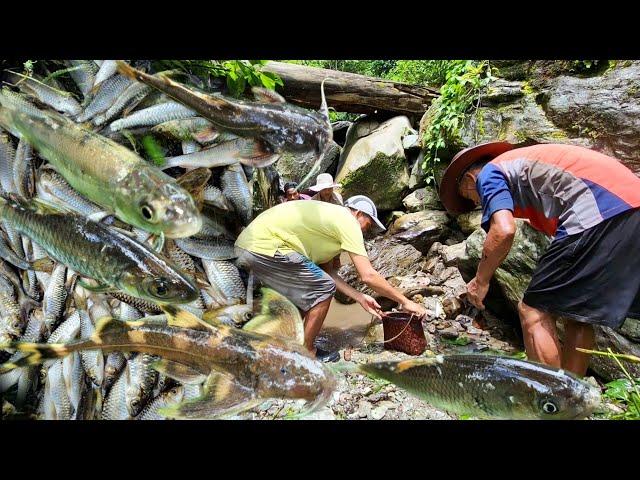 Traditional Way Of Fishing || Adi Tribes|| Arunachal Pradesh