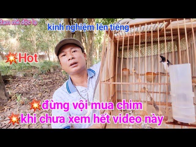 Đừng Vội Mua Chim Khi Chưa Xem Hết Videos Này | đam mê độc lạ