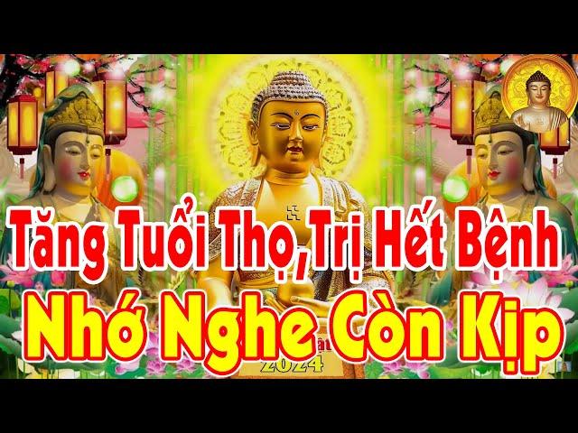 13 Phút Linh Nhiệm – Xua Tan Bệnh Tật, Khổ Đau, Tâm Được An Lạc Suốt Đời
