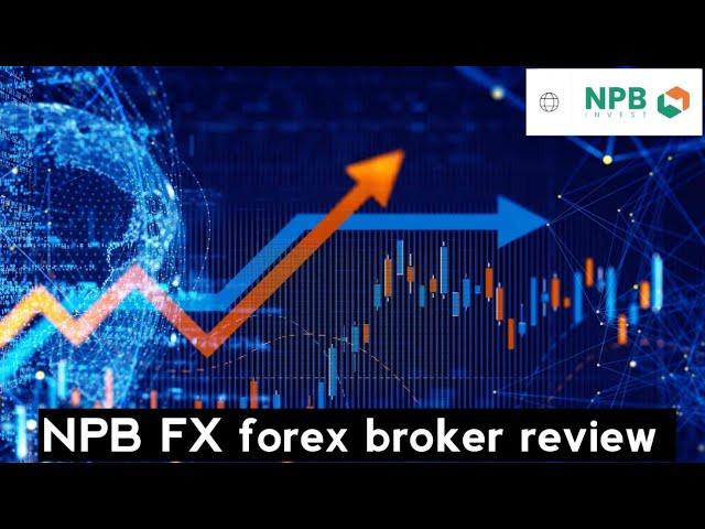 NPB FX Forex Broker review | Best Forex Broker 2024