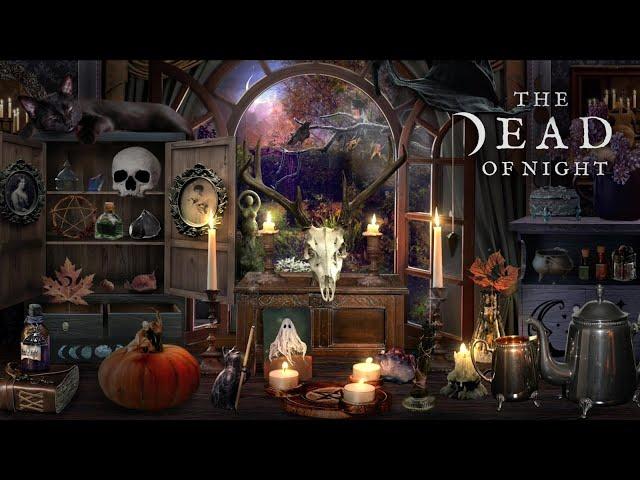 Witch's Samhain Altar 2024 Ambience  | The Witches' New Year | Witch ASMR & Spooky Night Sounds