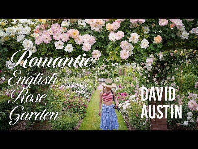 David Austin Rose Garden, Romantic English Garden Tour, England Garden Design, Summer Flowers