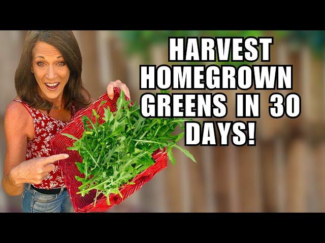 Salad Greens in 30 Days- Here's How!