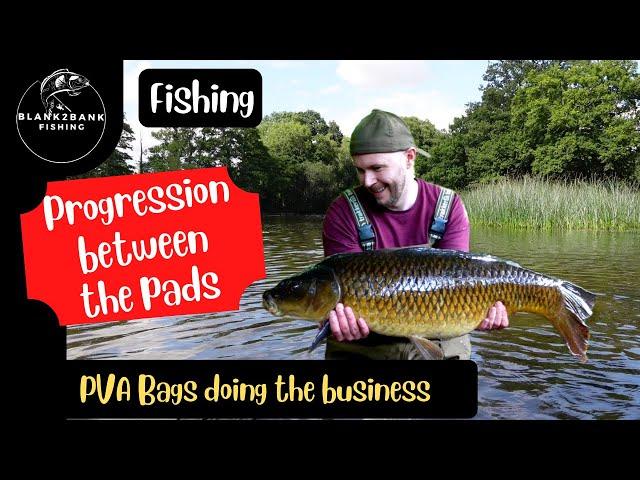 Carp Fishing: A Successful Day on the Lake with More Fish