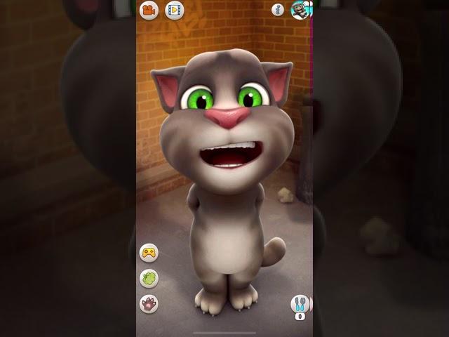 Talking Tom says Hello Tom