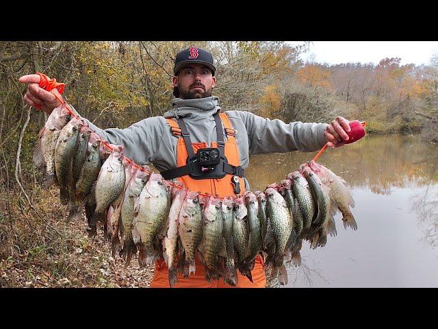 We Found The BEST Creek Crappie Spot Ever! **DOUBLE LIMITS** with Jigs & Bobbers!  (No Electronics)