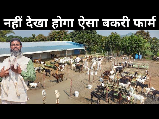 UPSC Aspirant's Amazing Goat Farm | Goat Farming | Goat Farming Business Plan