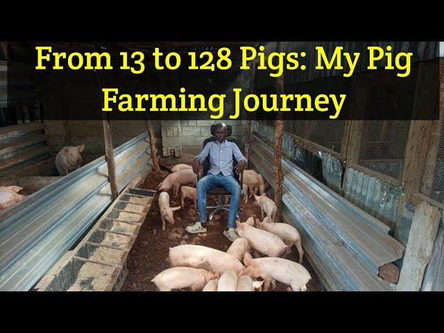 Pig Farming Success Story : From 13 to 128 Pig