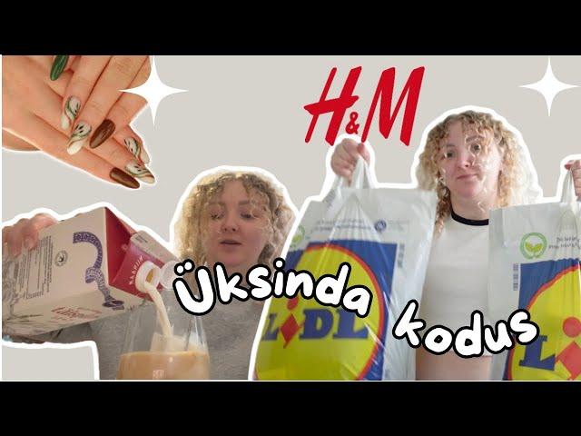 Teejooja teeb KOHVI | LIDL, H&M, Pepco HAUL | beebiplaanid ja arstilkäigud?